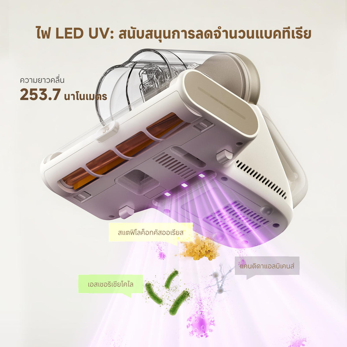 [พรีออเดอร์ 30 วัน] Dreame D20 Aura Mite Remover เครื่องดูดไรฝุ่น เทฝุ่นอัตโนมัติ 16000Pa ลมร้อนลดความชื้น 70°C เหมาะสำหรับที่นอน โซฟา และเครื่องนอน - Dreame Thailand