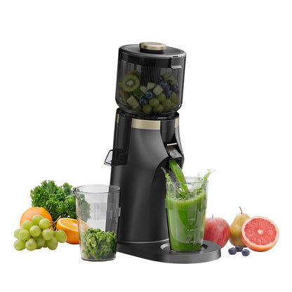 [พรีออเดอร์ 15 วัน] Dreame SJ60 / SJ30 Slow Juicer | ถอดง่าย ล้างสะดวก | เครื่องสกัดน้ำผลไม้แบบเย็น 7 | ขั้นตอน แรงบิดสูง 45 N·m | ความจุ 2 ลิตร | ปราศจากสาร BPA - Dreame Thailand